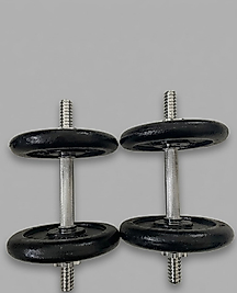 Orka Pro 10 KG Profesyonel Döküm Ağırlık ve Dumbbell Seti